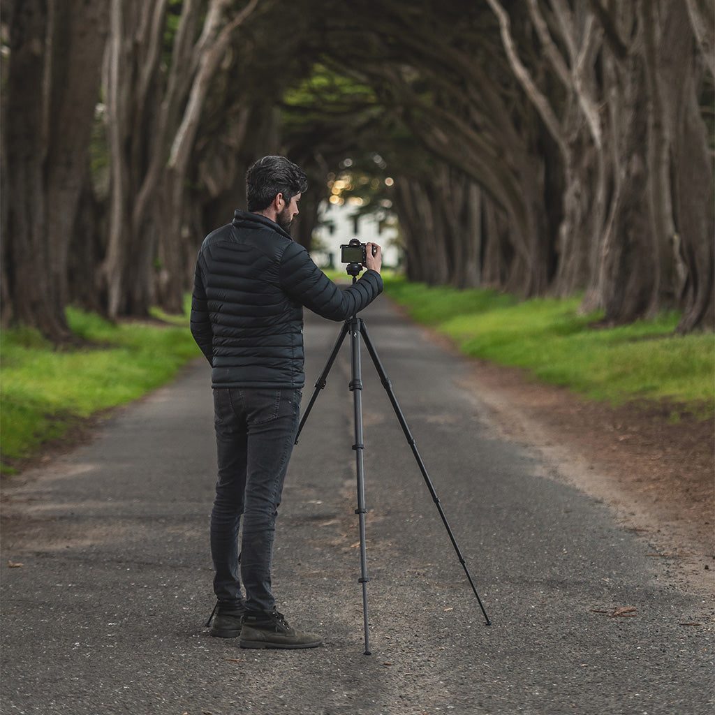 (image), Tripod setup in the woods, TT-CB-5-150-CF-1, c_fiber